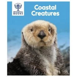 Encyclopedia Britannica Electronic Me Reader 8-Book Boxed Set -Learning Toys Sales GUEST 04f45480 efb7 4652 a5b3 364c7fb8bc36