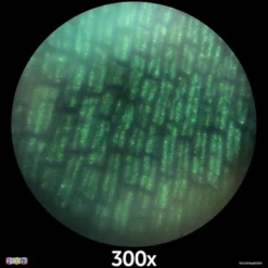 50PCs Microscope Kit Set In Carrying Box For Kids Educational Science Lab With 120X - 1200X Microscope Slides Specimens -Play22usa 15 50PCs Microscope Kit Set In Carrying Box For Kids Educational Science Lab With 120X - 1200X Microscope Slides Specimens -Play22usa -Learning Toys Sales GUEST 14f9f7ff e041 41f7 9be1 a6dd223ca546