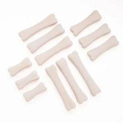 Yellow Door Dinosaur Bones Discovery Set