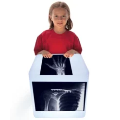 Roylco Fixed Bones X-Ray Set