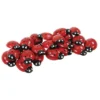 Yellow Door Ladybug Stones - Set Of 22