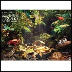 WILD! Environmental Science Amazing And Bizarre Frogs Of The World 9 WILD! Environmental Science Amazing And Bizarre Frogs Of The World -Learning Toys Sales GUEST 2b3789f5 bdac 4803 9de0 cbd26d1b095e