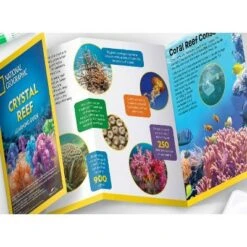 National Geographic Crystal Reef Science Kit -Learning Toys Sales GUEST 33e0881a ab84 41a7 8d0a f4466594f083