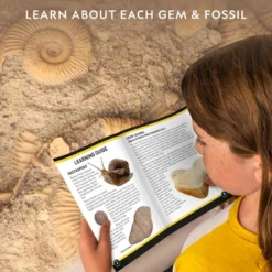 NATIONAL GEOGRAPHIC Mega Fossil & Gemstone Dig Kit, Excavate 10 Real Fossils & 10 Real Gems, STEM Science Gift For Mineralogy And Geology Enthusiasts -Learning Toys Sales GUEST 3b0f979f cf18 48f7 9c92 958eb479f9cb