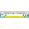 TREND Zaner-Bloser Desk Toppers Reference Name Plates, PreK-1, 36 Per Pack, 3 Packs