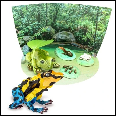 WILD! Environmental Science Amazing And Bizarre Frogs Of The World 5 WILD! Environmental Science Amazing And Bizarre Frogs Of The World - Image 3