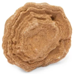 Okuna Outpost Dinosaur Bone Replica Dig Site Kit With Educational Cards For Kids, 15 Species -Learning Toys Sales GUEST 557f2142 eb83 4be1 a542 0f04e992f17b