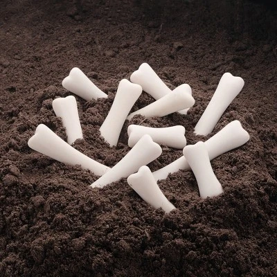 Yellow Door Dinosaur Bones Match & Measuring Set 5 Yellow Door Dinosaur Bones Match & Measuring Set - Image 3