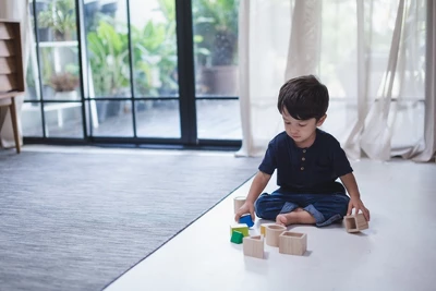 Plantoys| Geo Matching Blocks 5 Plantoys| Geo Matching Blocks - Image 3