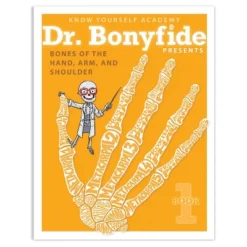 Know Yourself 4 Book Set: Dr. Bonyfide Presents 206 Bones Of The Human Body 8 Know Yourself 4 Book Set: Dr. Bonyfide Presents 206 Bones Of The Human Body -Learning Toys Sales GUEST 63110bb5 6404 450a 8994 81d6f8d97221