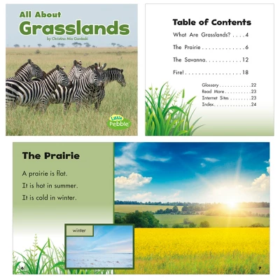 Little Pebble Habitats Book Set, Set Of 8 5 Little Pebble Habitats Book Set, Set Of 8 - Image 3