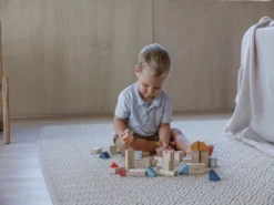 Plantoys| Creative Blocks - Orchard Series -Learning Toys Sales GUEST 74db690a 3f4b 4759 a4f1 f519db1a8a2f