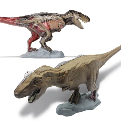 Discovery #Mindblown 4D T-Rex Anatomy Kit Interactive Dinosaur Model 5 Discovery #Mindblown 4D T-Rex Anatomy Kit Interactive Dinosaur Model - Image 3