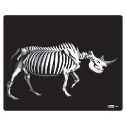 Roylco What's Inside Animals? 11 Roylco What's Inside Animals? -Learning Toys Sales GUEST 7bde997d a31a 494f 9575 3ec7bec54616