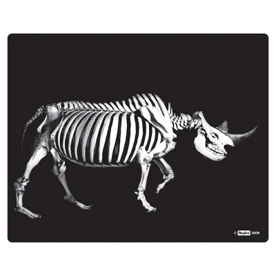 Roylco What's Inside Animals? 7 Roylco What's Inside Animals? - Image 5