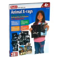 Roylco Animal X-Rays -Learning Toys Sales GUEST 7d8854f7 dace 48f3 91d9 6611691ab717