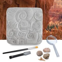 Discovery #Mindblown Colossal Fossil Dig 15pc Excavation Kit -Learning Toys Sales GUEST 86d2a4c3 fd50 4bfe a825 6c580a40048f