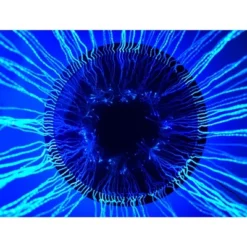 Round Fiber Optic Curtain - 100 Strands 12 Round Fiber Optic Curtain - 100 Strands -Learning Toys Sales GUEST 8e5ec98d 46ab 4962 be0e e55a304eed23