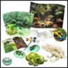 WILD! Environmental Science Amazing And Bizarre Frogs Of The World -Learning Toys Sales GUEST 9629fe4f 2ae5 4d2b 8829 a9a6030aee4a