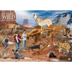 WILD! Environmental Science Extreme WILD! Dogs Of The World -Learning Toys Sales GUEST 9e1f6bc0 dbe6 4426 acc5 4aa6ab94276b