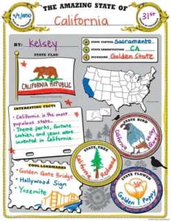Teacher Created Resources Amazing State Poster Pack, 32 Sheets