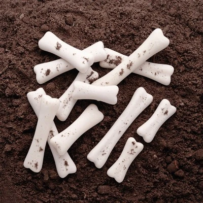 Yellow Door Dinosaur Bones Match & Measuring Set 4 Yellow Door Dinosaur Bones Match & Measuring Set - Image 2