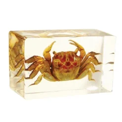 Kaplan Early Learning Animal & Plant Specimen Sets