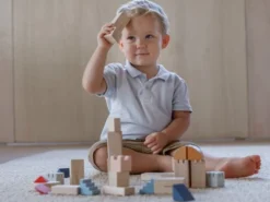 Plantoys| Creative Blocks - Orchard Series -Learning Toys Sales GUEST c14fab75 11fd 4931 8bbb 8f2effc3dd7e