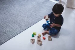 Plantoys| Geo Matching Blocks 11 Plantoys| Geo Matching Blocks -Learning Toys Sales GUEST c416f96f bf8b 47ac aed2 294929b17d84