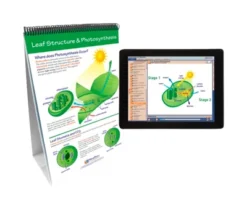NewPath Learning Photosynthesis & Cellular Respiration Flip Chart And Online Multimedia Lesson