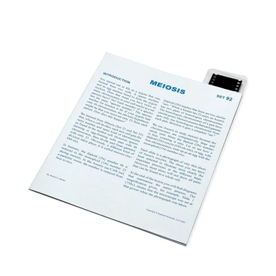 Supertek® Microslide, Plant Meiosis, 35mm 3 Supertek® Microslide, Plant Meiosis, 35mm