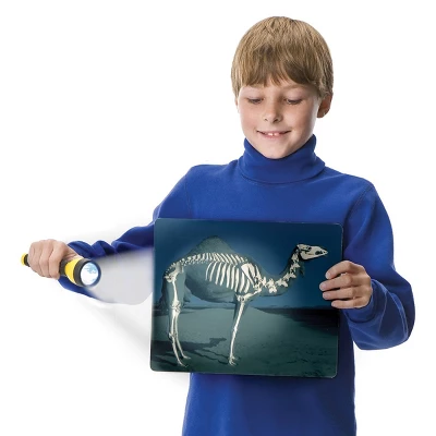 Roylco What's Inside Animals? 4 Roylco What's Inside Animals? - Image 2