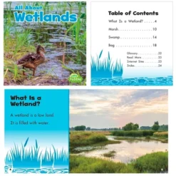 Little Pebble Habitats Book Set, Set Of 8 9 Little Pebble Habitats Book Set, Set Of 8 -Learning Toys Sales GUEST d310ada3 0bd9 4e99 9faa ea9f411eac3f