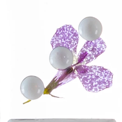 Acrylic Dominos Set - 28-Piece Domino Game With Display Box - Strategy Game, Tabletop Decoration And Modern Home Decor- Flower 7 Acrylic Dominos Set - 28-Piece Domino Game With Display Box - Strategy Game, Tabletop Decoration And Modern Home Decor- Flower - Image 5