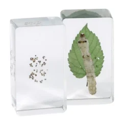 Kaplan Early Learning Animal & Plant Specimen Sets -Learning Toys Sales GUEST d354be89 95e0 43c3 bbe5 be66aab9226a