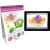 NewPath Learning All About Cells Flip Chart And Online Multimedia Lesson -Learning Toys Sales GUEST d82184fe eaa0 4e60 9101 2b9621c04d7d