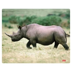 Roylco What's Inside Animals? 10 Roylco What's Inside Animals? -Learning Toys Sales GUEST ddfbcf07 df9c 4b07 b365 5b8d9d7c9b4e