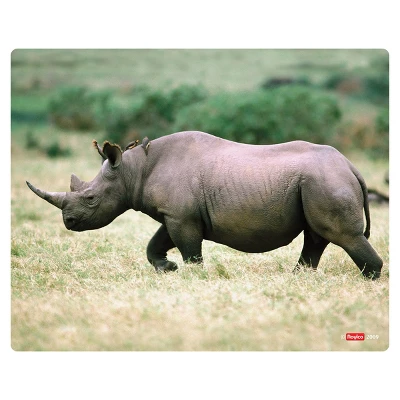 Roylco What's Inside Animals? 6 Roylco What's Inside Animals? - Image 4