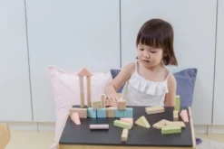Plantoys| 40 Unit Blocks - Pastel Series -Learning Toys Sales GUEST e05b8758 78ba 4064 9a98 7d5a6891031b