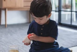 Plantoys| Geo Matching Blocks 12 Plantoys| Geo Matching Blocks -Learning Toys Sales GUEST e79478cd f3a4 43da a022 6ef6eac6249a