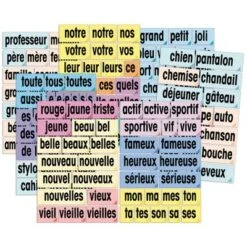 Poster Pals Adjective Attack Card Set, French