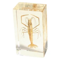 Kaplan Early Learning Animal & Plant Specimen Sets -Learning Toys Sales GUEST f112d07c 95b1 4220 aabd 6b9154aefb15