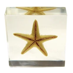 Kaplan Early Learning Animal & Plant Specimen Sets -Learning Toys Sales GUEST f8fbeb7f c566 4de6 a449 06f795f3b8bb